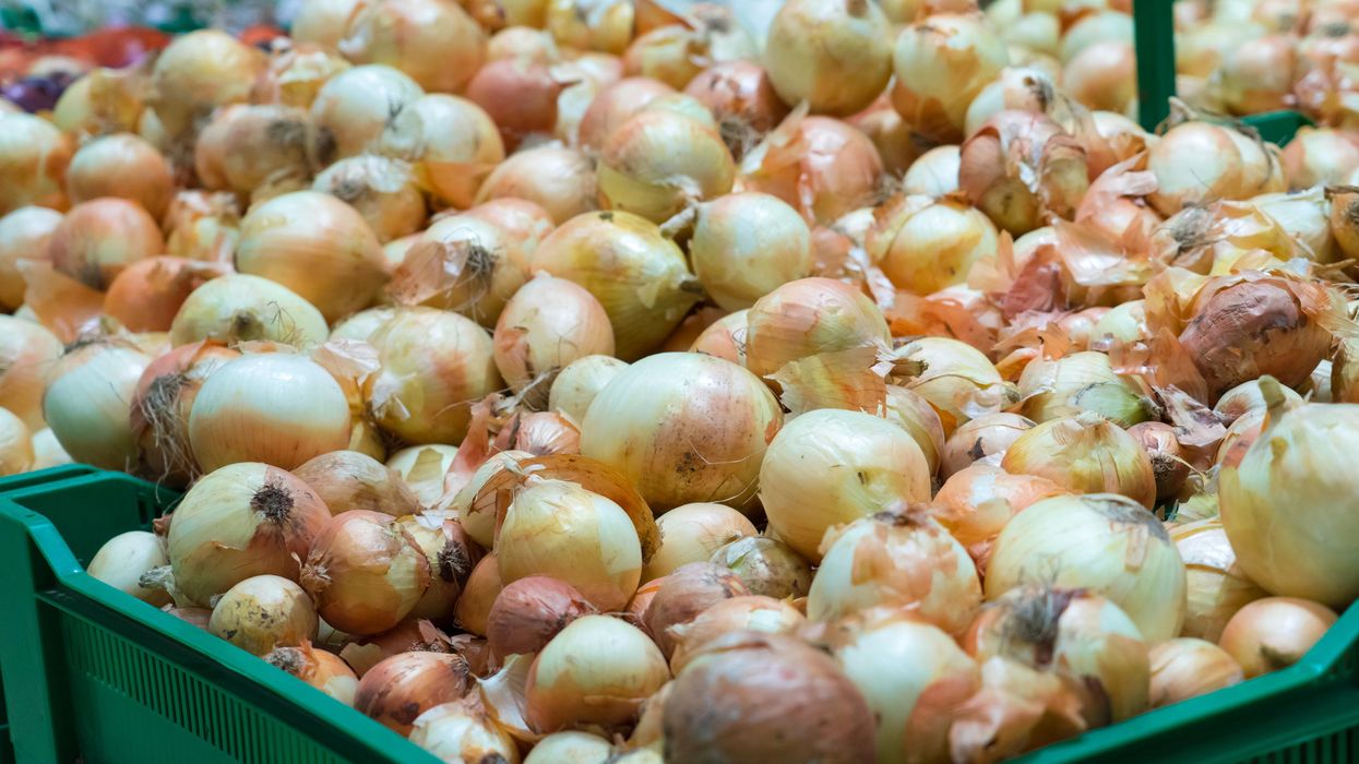 Even More Onions Have Been Added To A Huge Recall In Canada Due To Salmonella Concerns