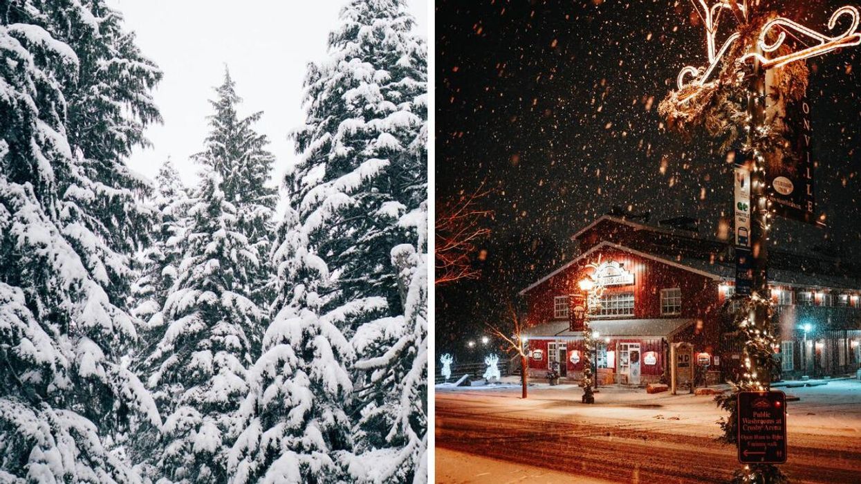 Evergreen trees covered in snow in B.C. Right: Snow falling at night on a festive street in Ontario.