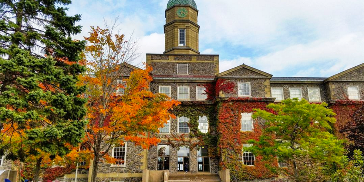 10 Reasons Why Dalhousie Is The Best School In Canada Narcity