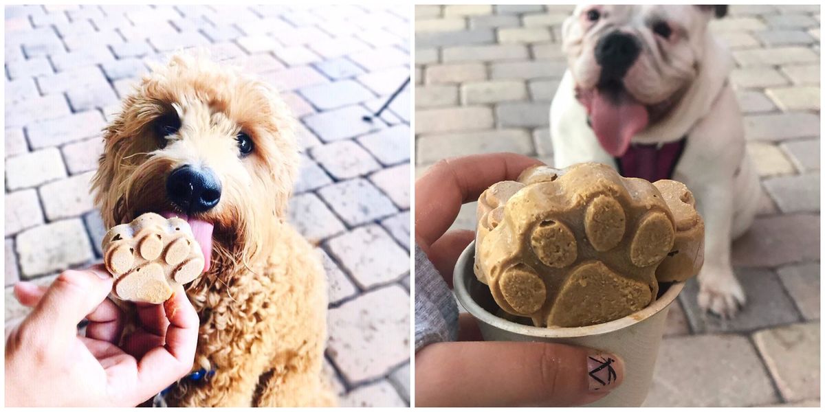 is lulu's pet friendly