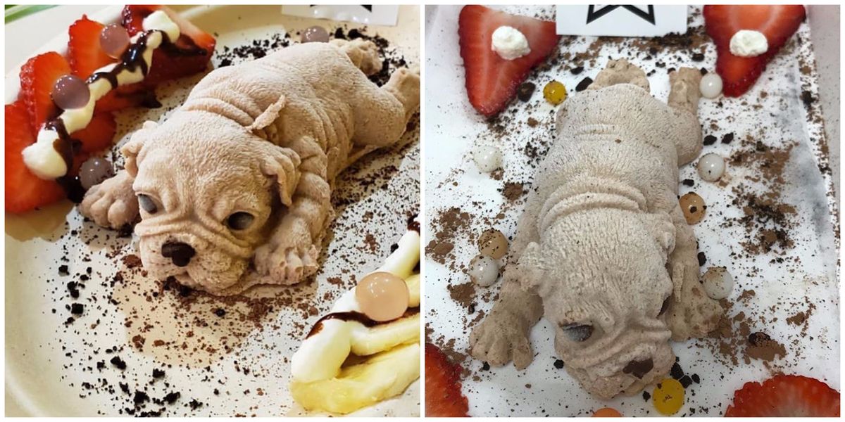 OMG Cafe And Tea House In Jacksonville Serves Dog Shaped Ice Cream