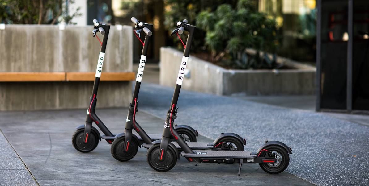 If You Ride eScooters The City Of Calgary Can Track Where You Go Narcity