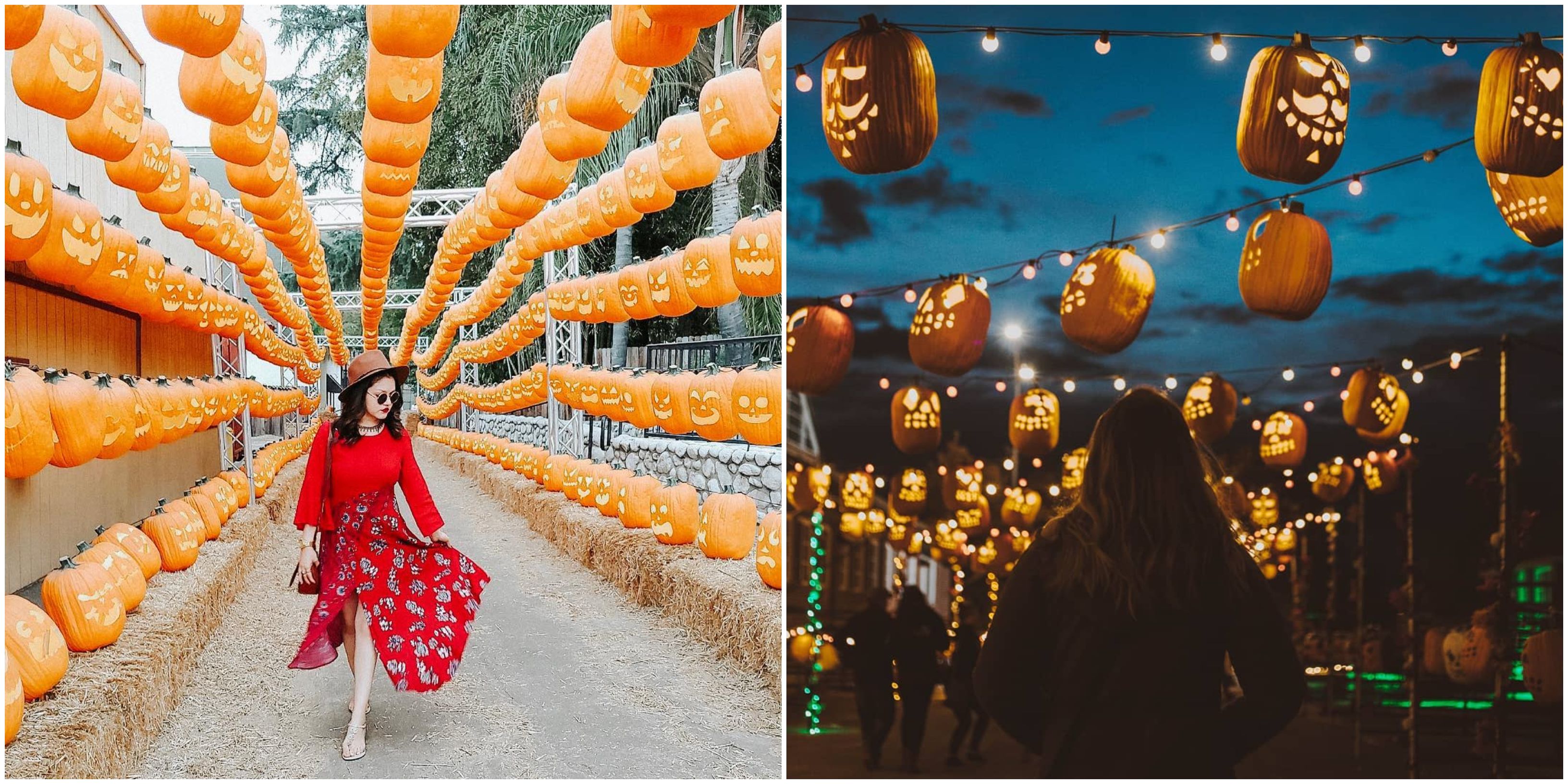 A Glowing Pumpkin Patch Is Coming To Dallas This Fall Narcity
