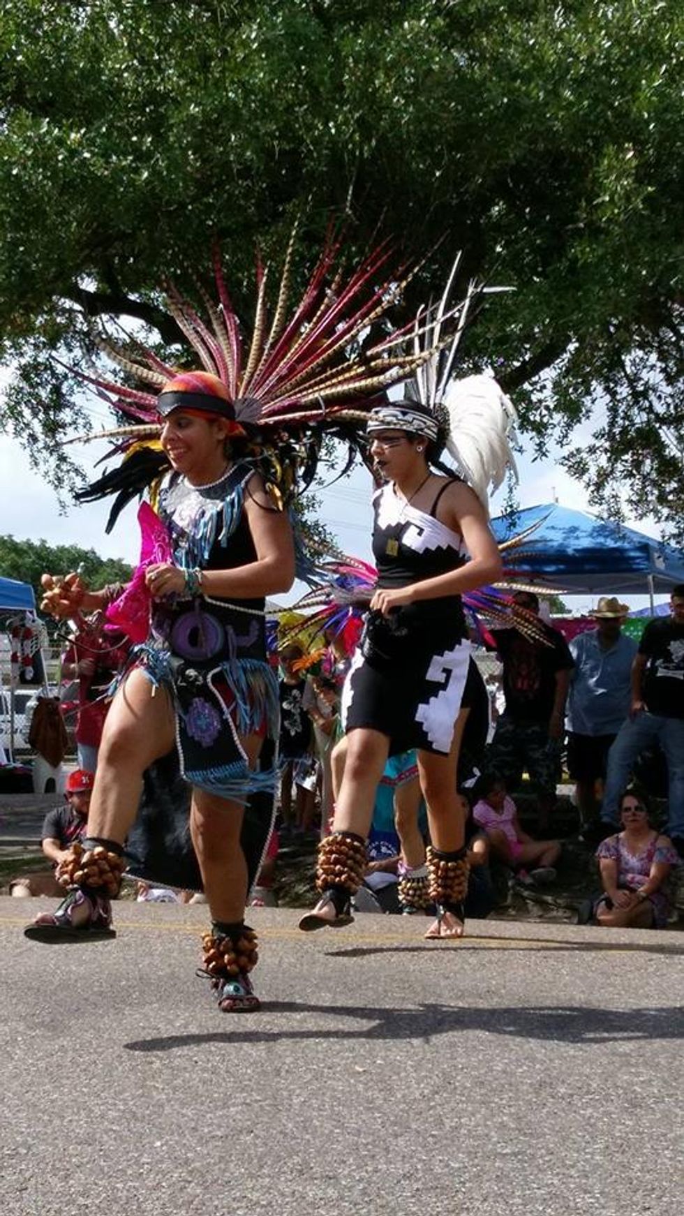 Houston's Day Of The Dead Celebration Is Absolutely Free Narcity