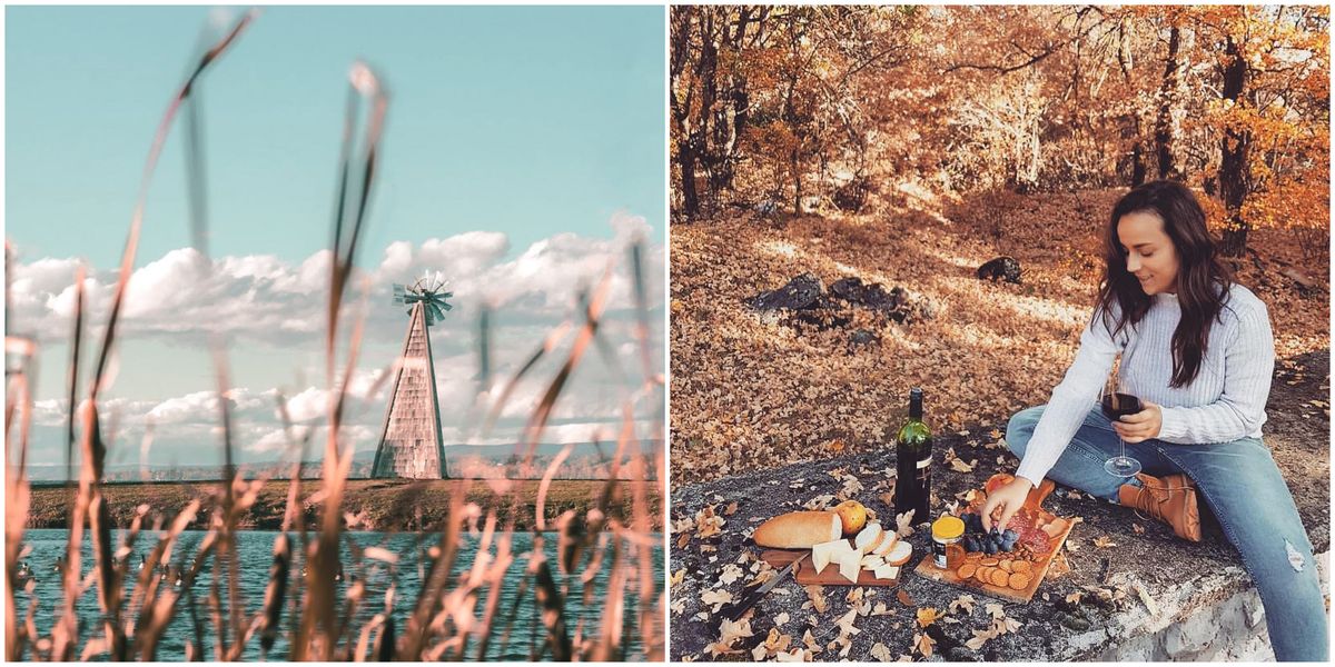 Ottawa Picnic Areas That Are Just So Perfect For Fall 2019 - Narcity