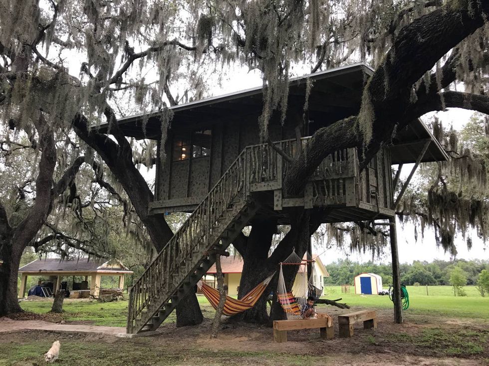 Treehouse AirBNB In Orlando Gives Glamping A Whole New Meaning Narcity