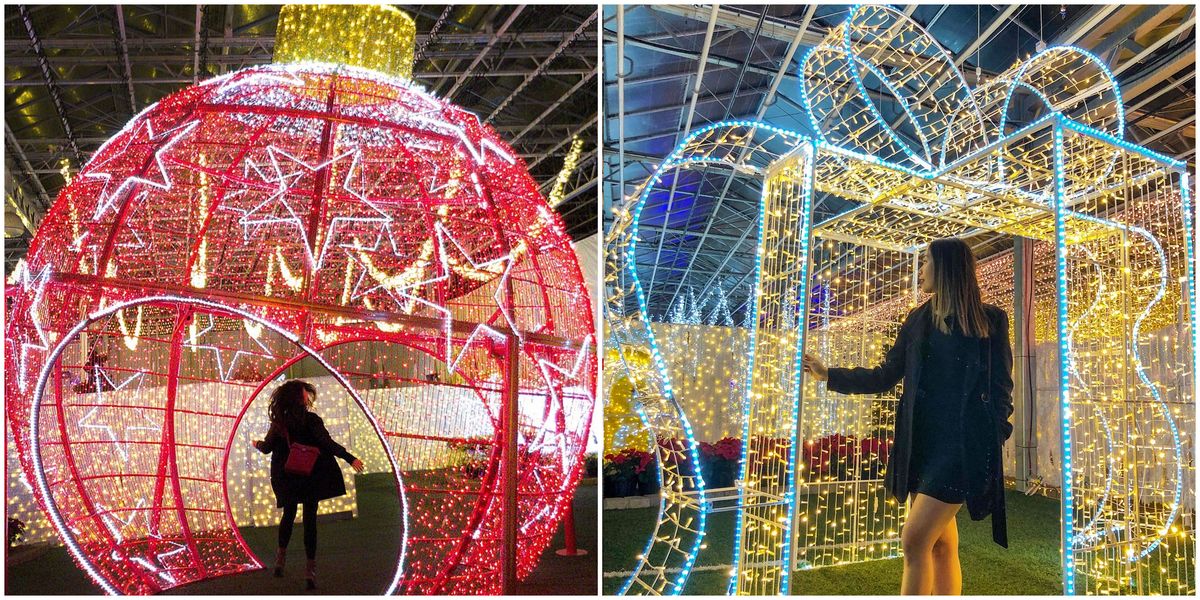 Glow Gardens In Halifax Will Be Super Festive & Extra Lit This Winter