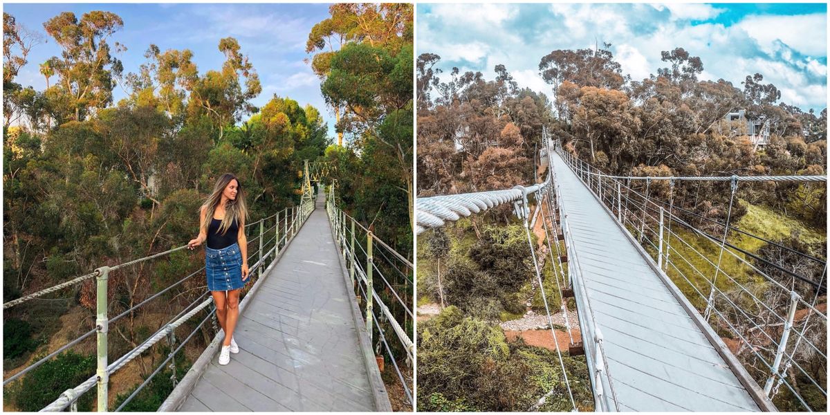 Spruce Street Suspension Bridge In San Diego Has Amazing City Views