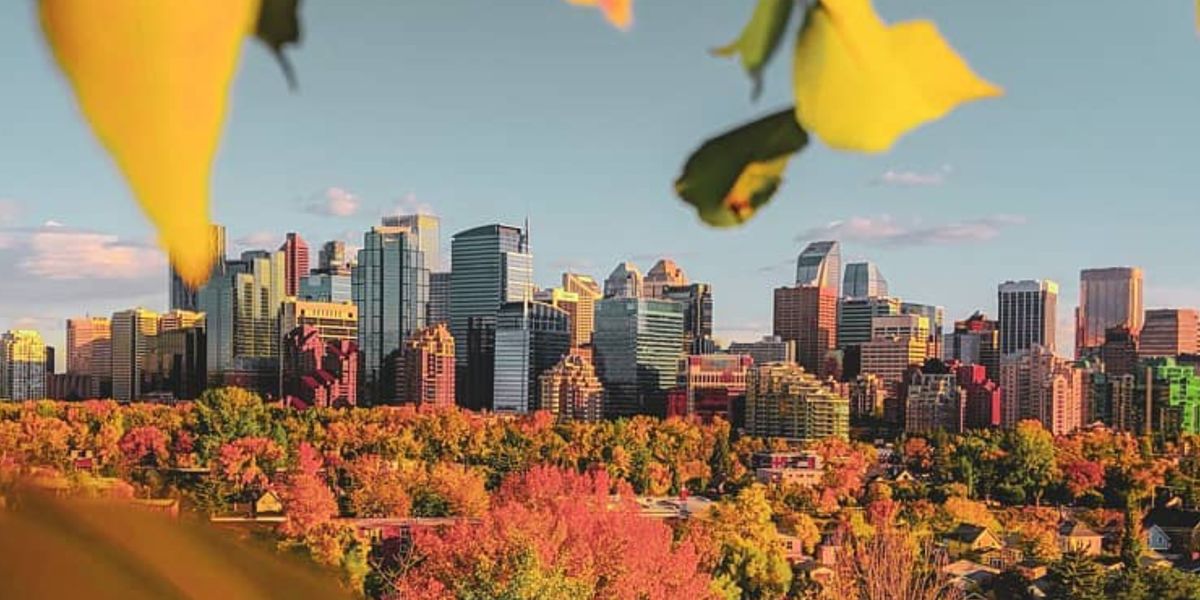 7 Free Events Around Calgary This October That Are Super Fun Narcity