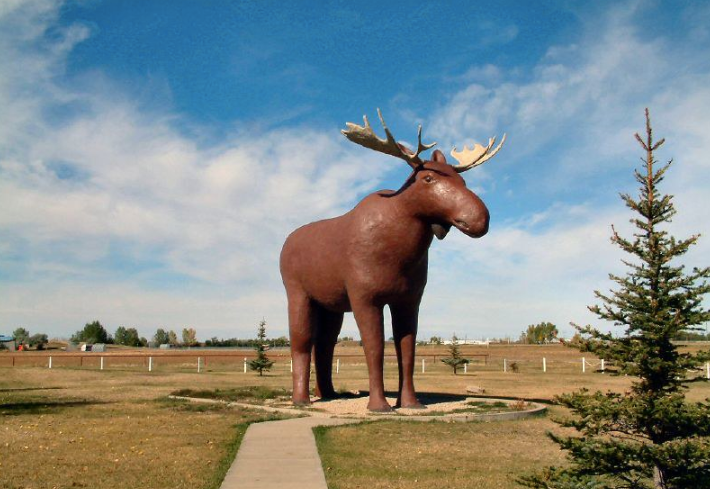 Canada's Mac The Moose Is Finally Stealing Back The Biggest Moose In