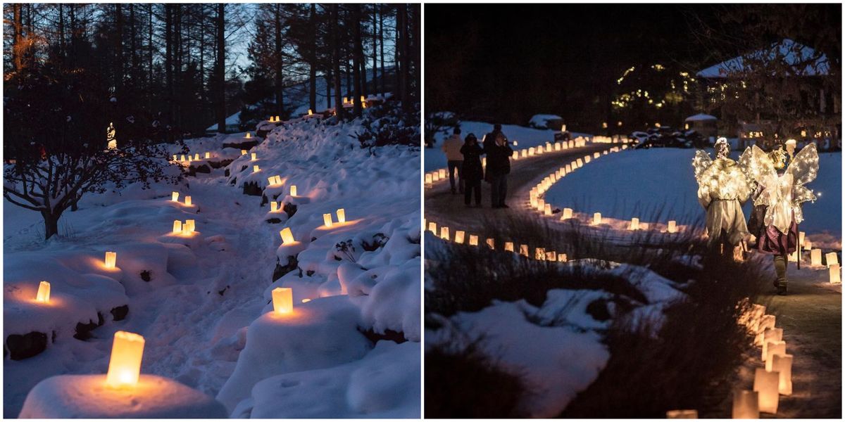 Edmonton Luminaria Magically Lights Up A Garden With Thousands Of