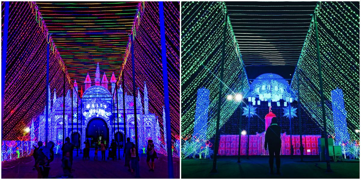 Lights Of The North Is Winnipeg's Dazzling Indoor Light Festival