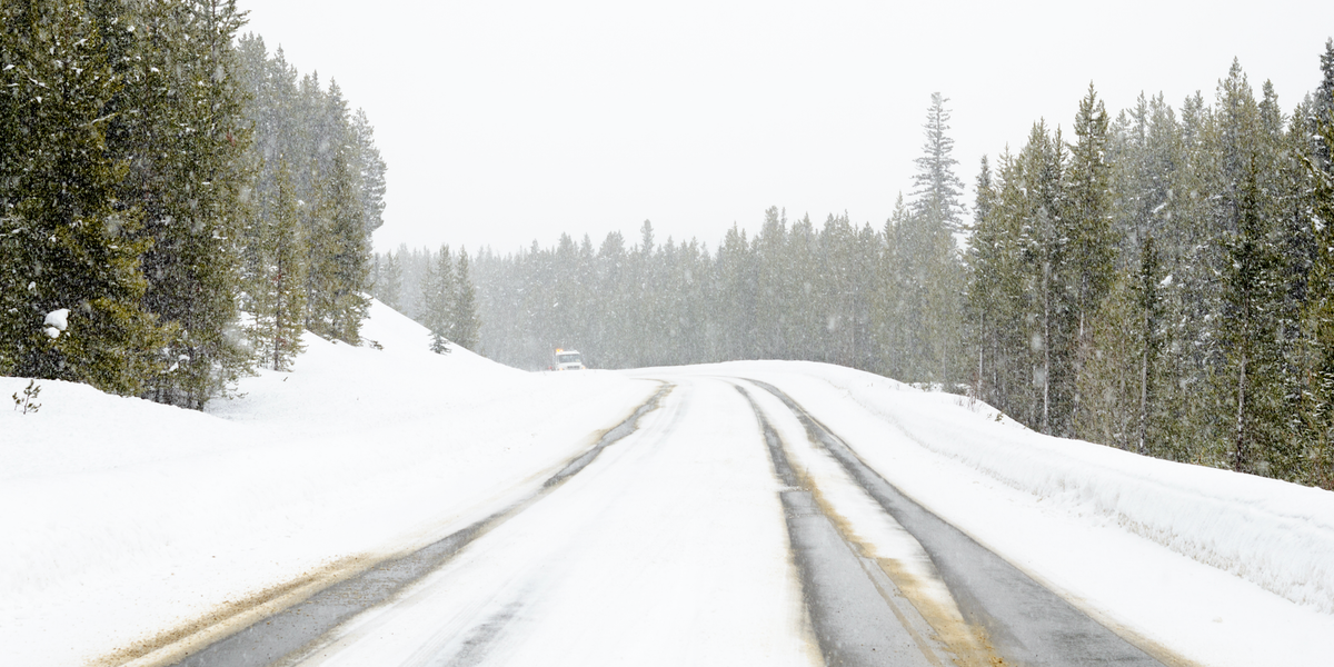 Alberta US Border Closure Leaves Travellers Stranded During Massive