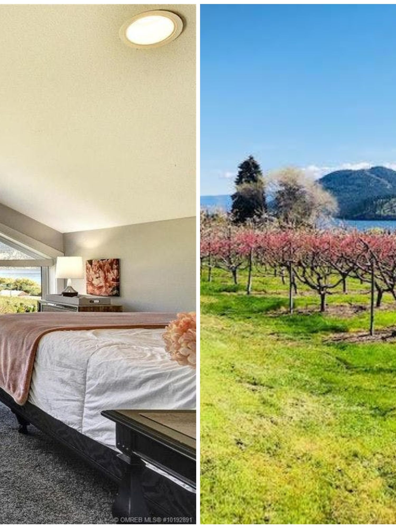 This Charming Farmhouse For Sale In BC Comes With A Private Fruit