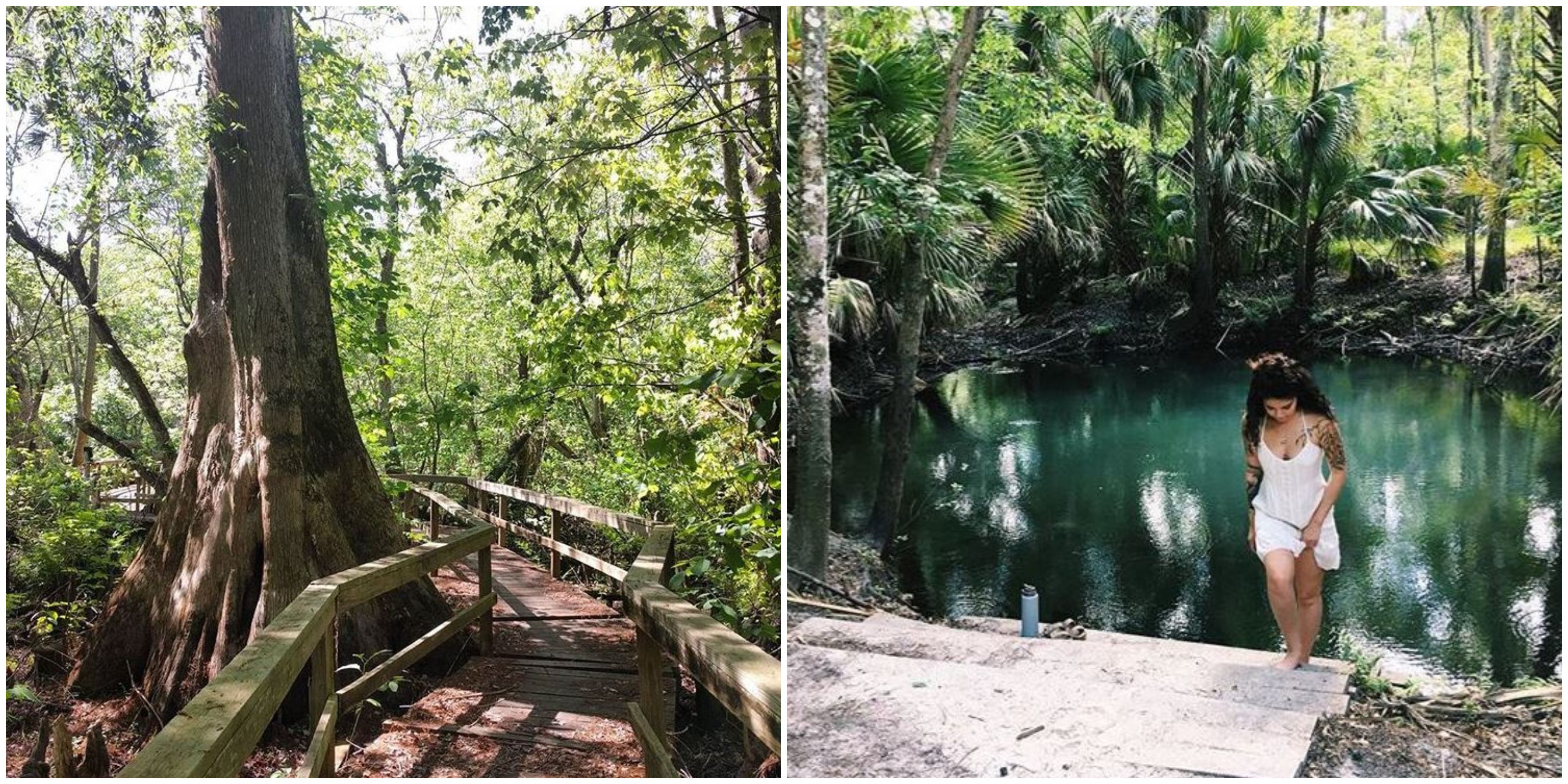 Places To Hike In Florida During Winter Season Includes Spring Hammock Preserve Narcity