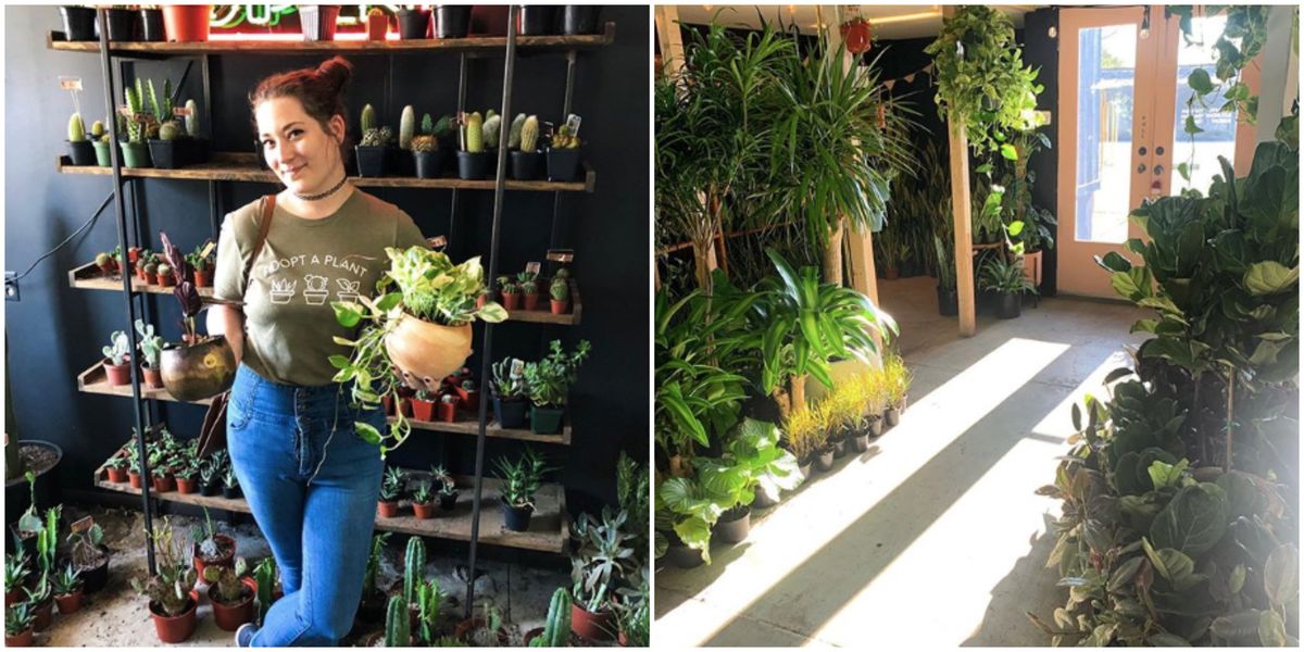 Plant Shop In Nashville Is Every Plant Lovers Dream Narcity