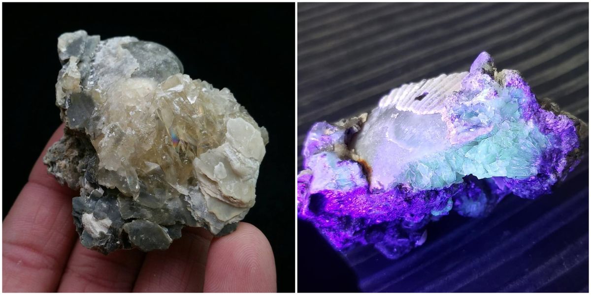 Unique Things To Do In Florida Include Mining For Rare Crystals And