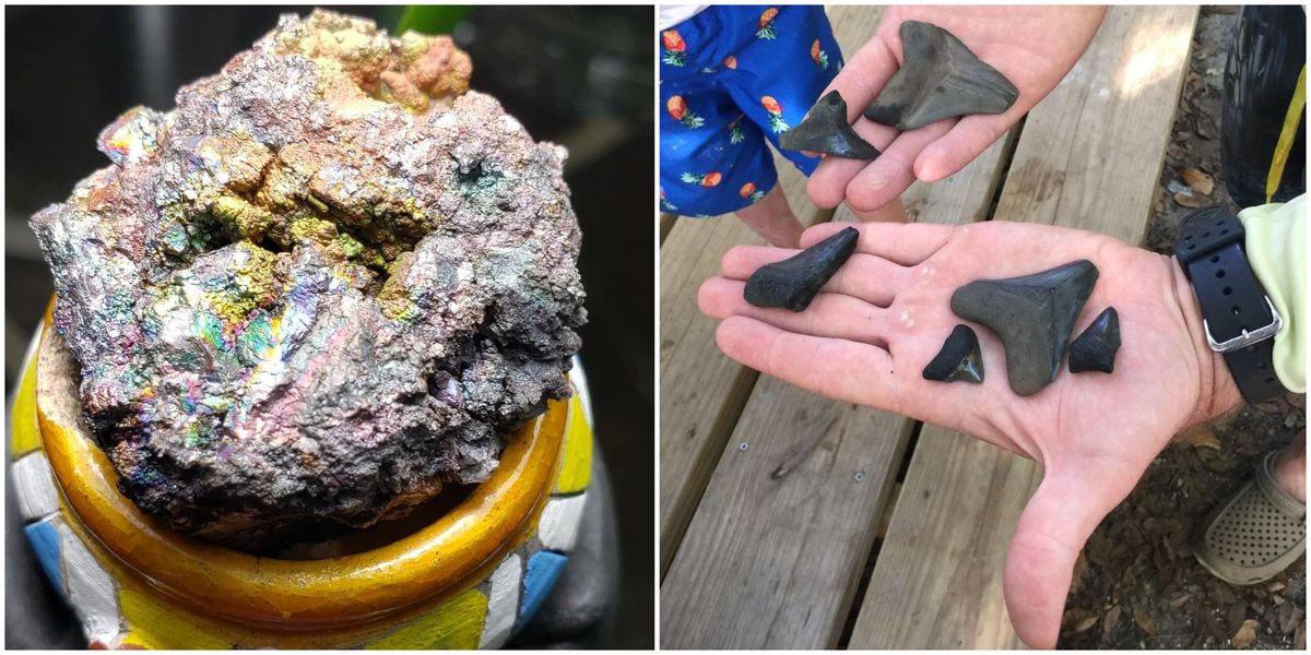 Florida Adventure Destinations Best For Mining For Your Own Fossils And