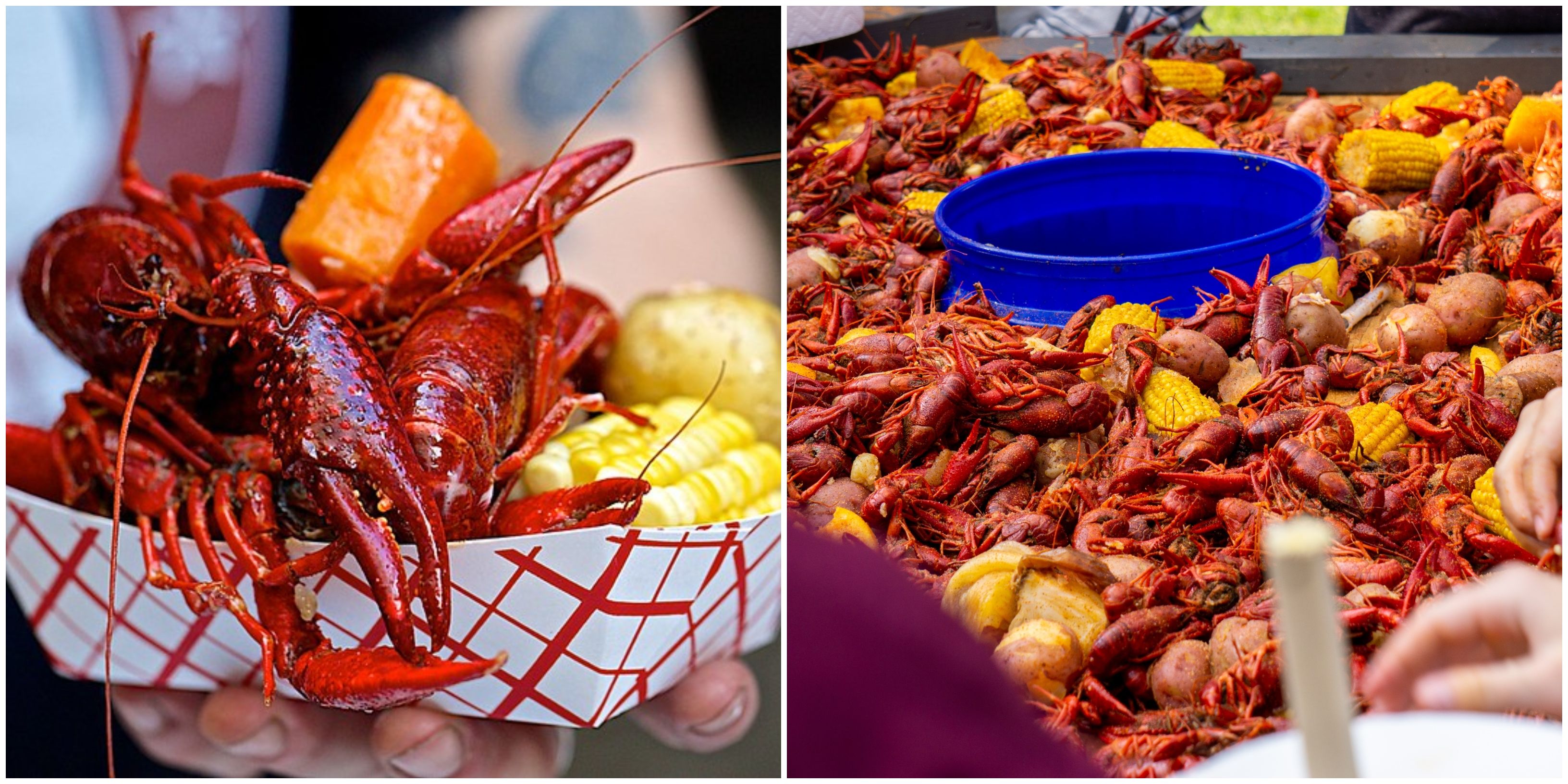 A Crawfish Festival Near San Antonio Is Next Month Narcity