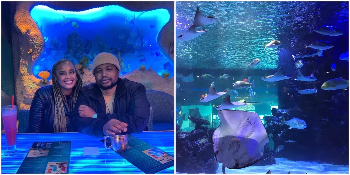 The Houston Aquarium Is Letting You Dine Under The Sea This Valentine's