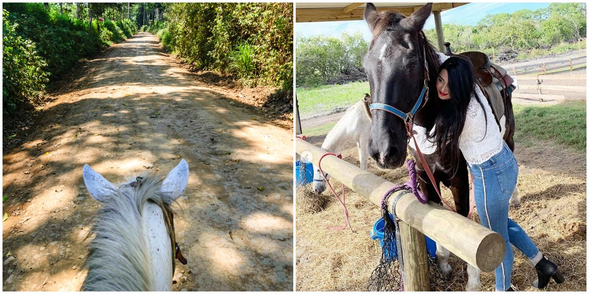 Cheap Florida Horse Ride On Groupon Takes You Through Trails On