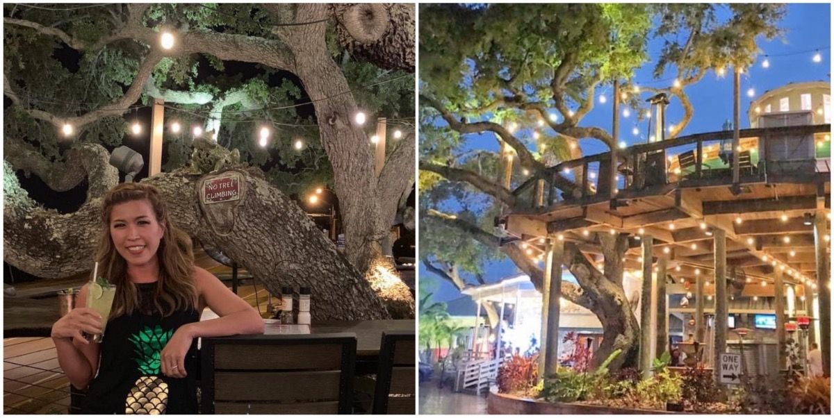 This Bar In Florida Serves Drinks In An Actual Treehouse Narcity