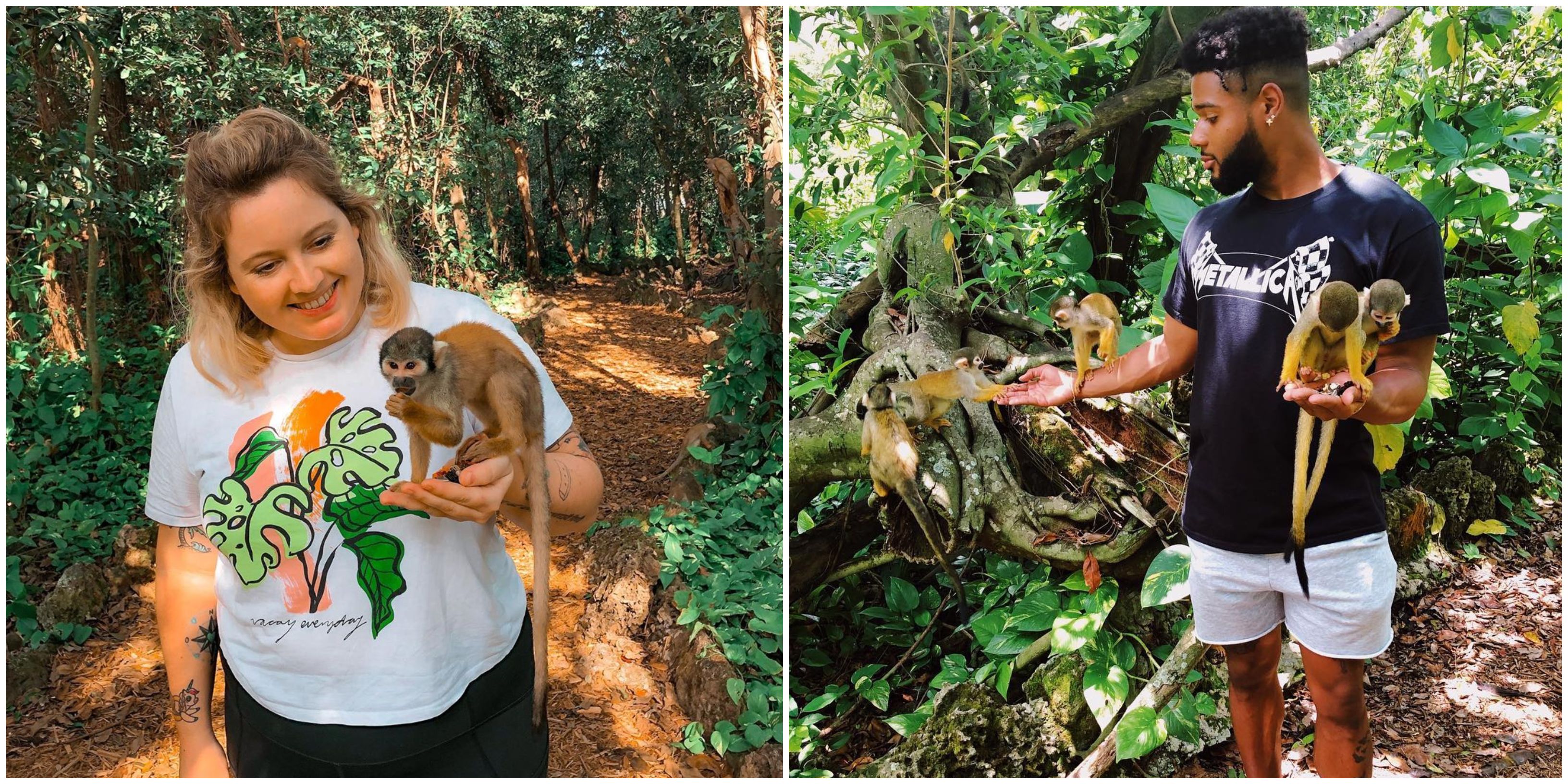 Pet Free Roaming Monkeys In Florida At This Miami Jungle Park Narcity