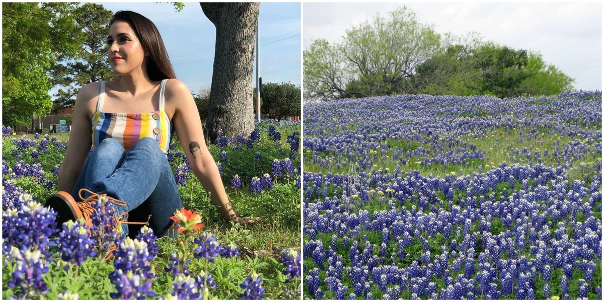 Are Blooming In Texas & Here's Where To Find Them Narcity