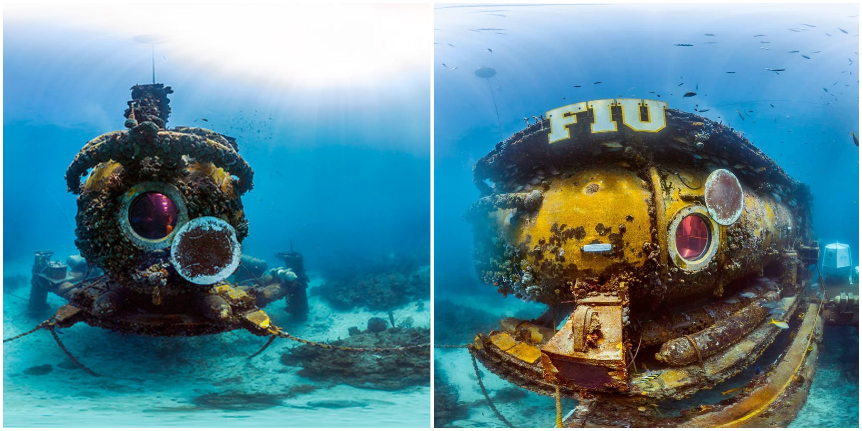 Aquarius Reef Base Has A Stunning Virtual Dive Tour Narcity