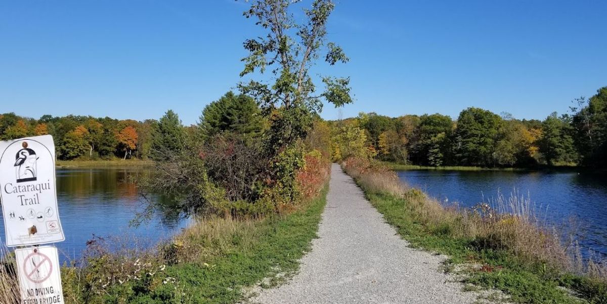 Kingston Walking Trails Are Reopening This Saturday Thanks To City's
