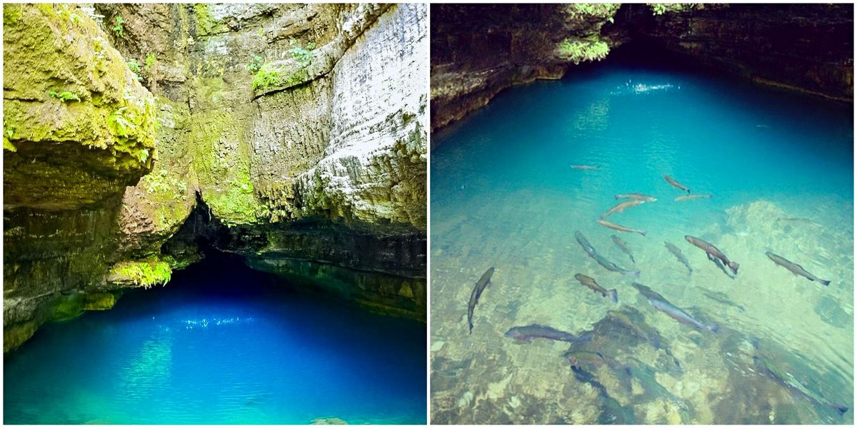 Missouri Blue Hole Nature Spot Is A Crystal Clear Wonder Narcity