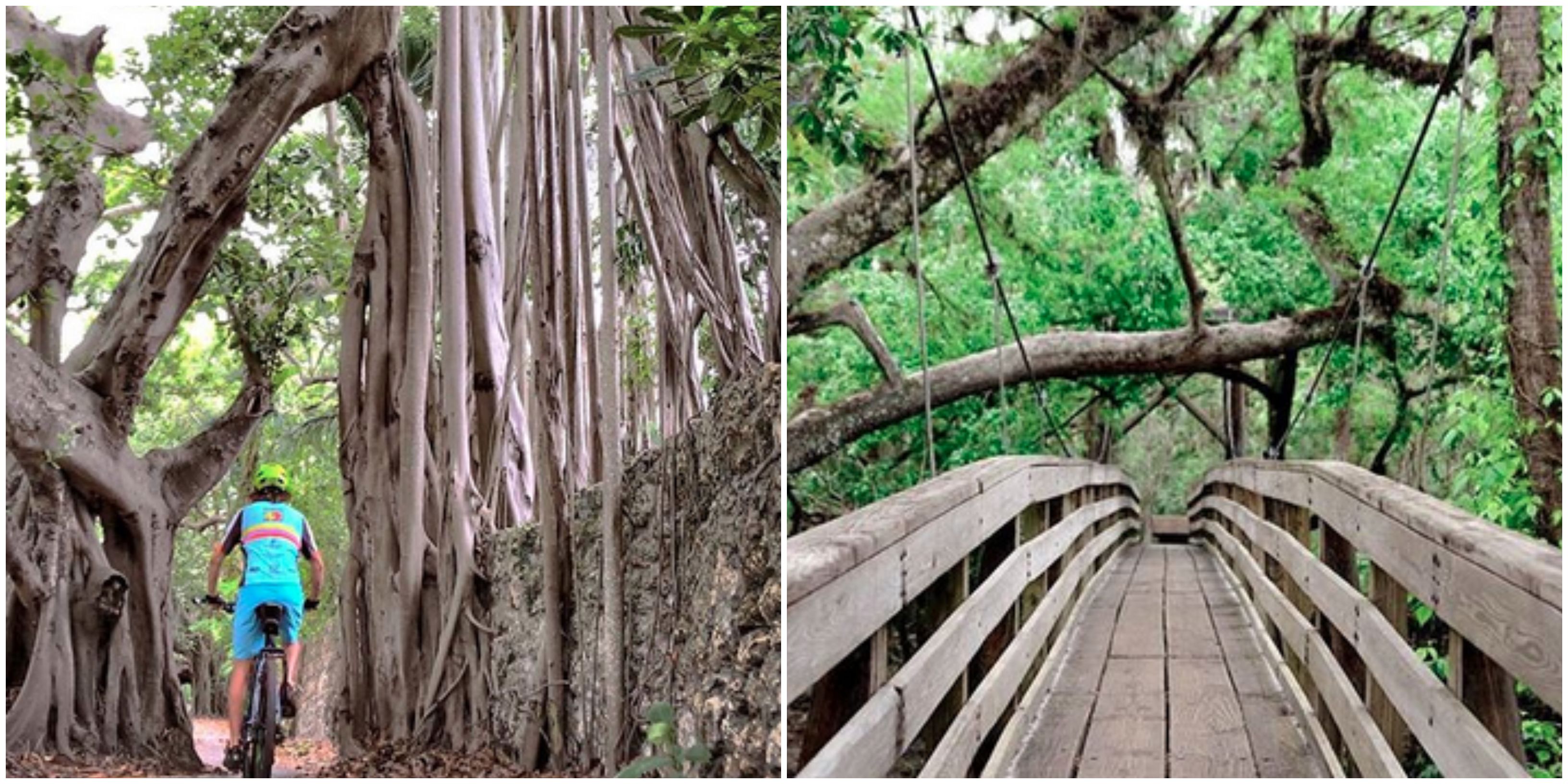 Bike Trails In Florida Provide Breathtaking Views For Those Needing A Break From The City Narcity
