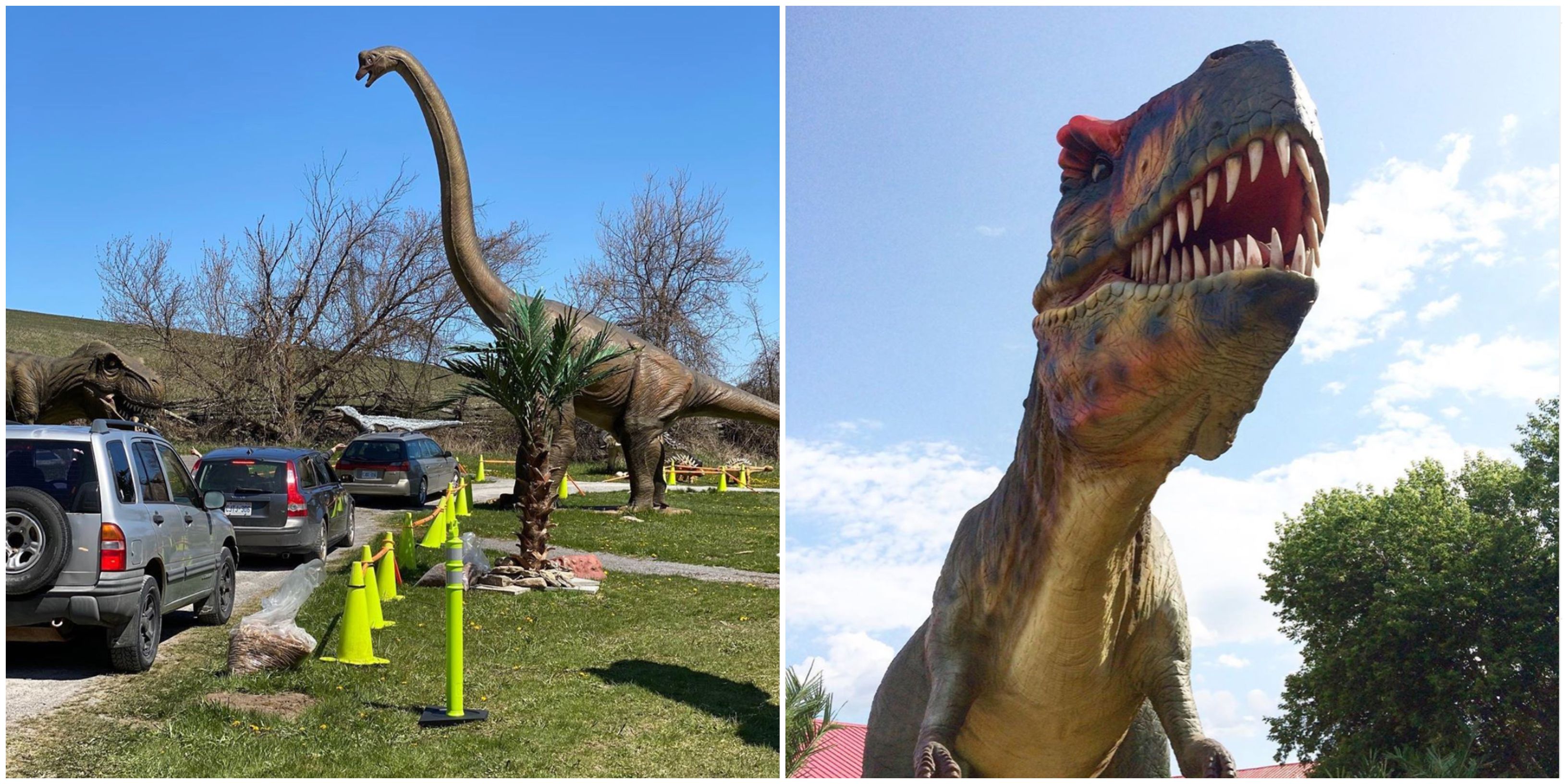 Ontario S Indian River Reptile Zoo Has A New Dinosaur Drive Thru Narcity
