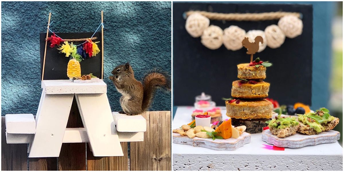 Squirrels Restaurant In Canada Just Opened This Spring & It's Been Nuts