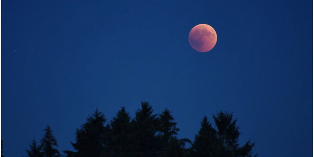 Lunar Eclipse In Canada Is Happening Next Month & Almost Everyone Can