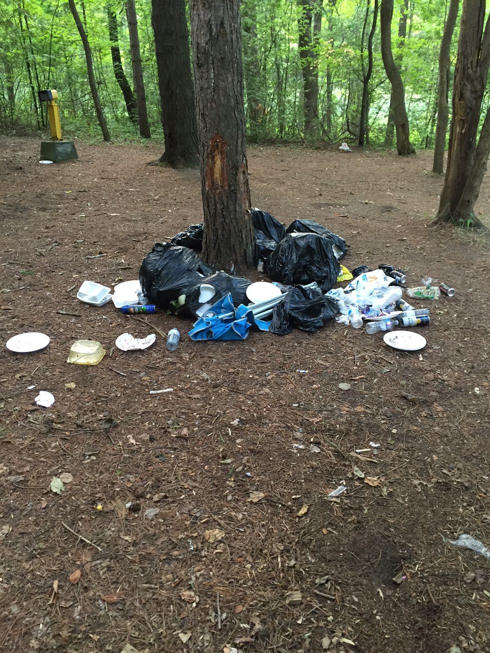 Littering At Ontario's Provincial Parks Is On The Rise & Staff Can’t