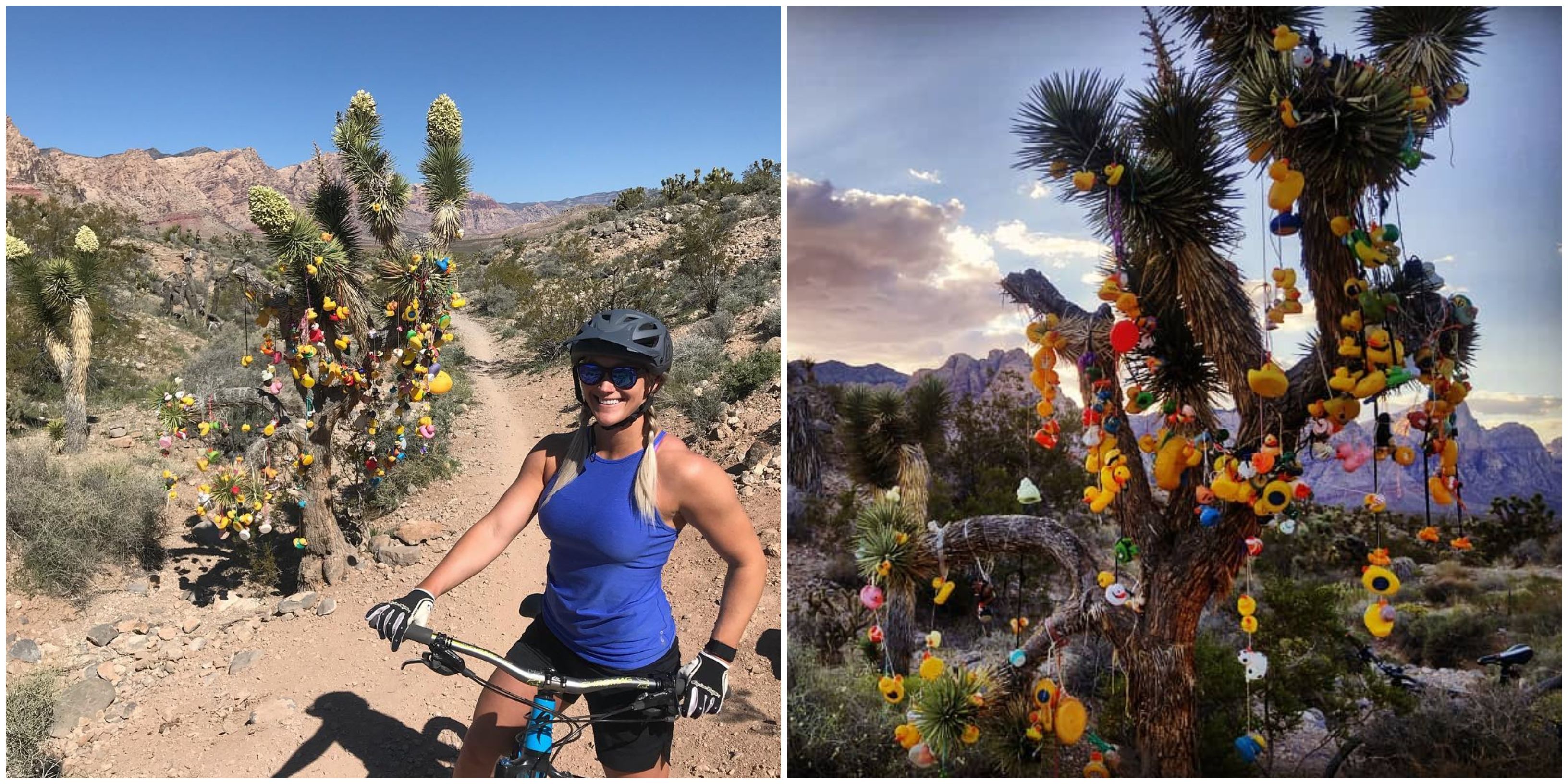 Rubber Ducky Trail Leads To A Surreal Tree Completely Covered In Bright