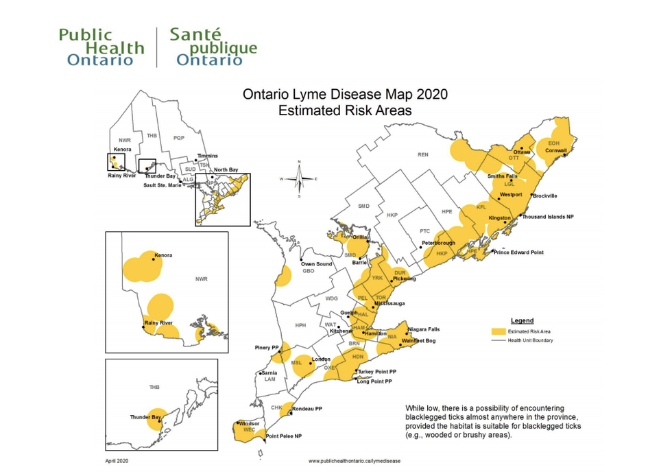 Ticks In Ontario Are Multiplying & There Are Multiple Lyme Disease