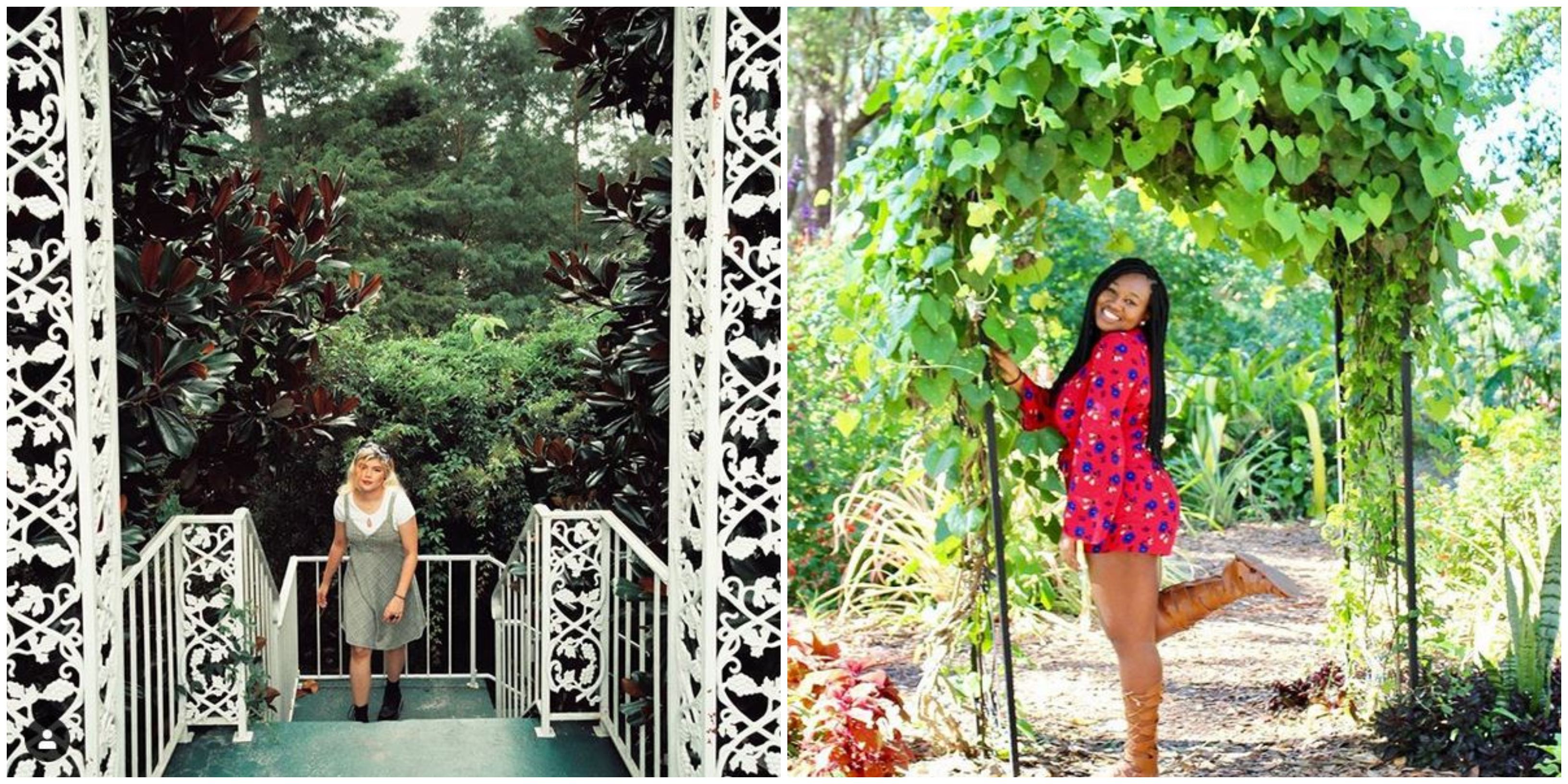 Mead Botanical Garden Orlando Feels Like A Hidden Fairytale World Narcity