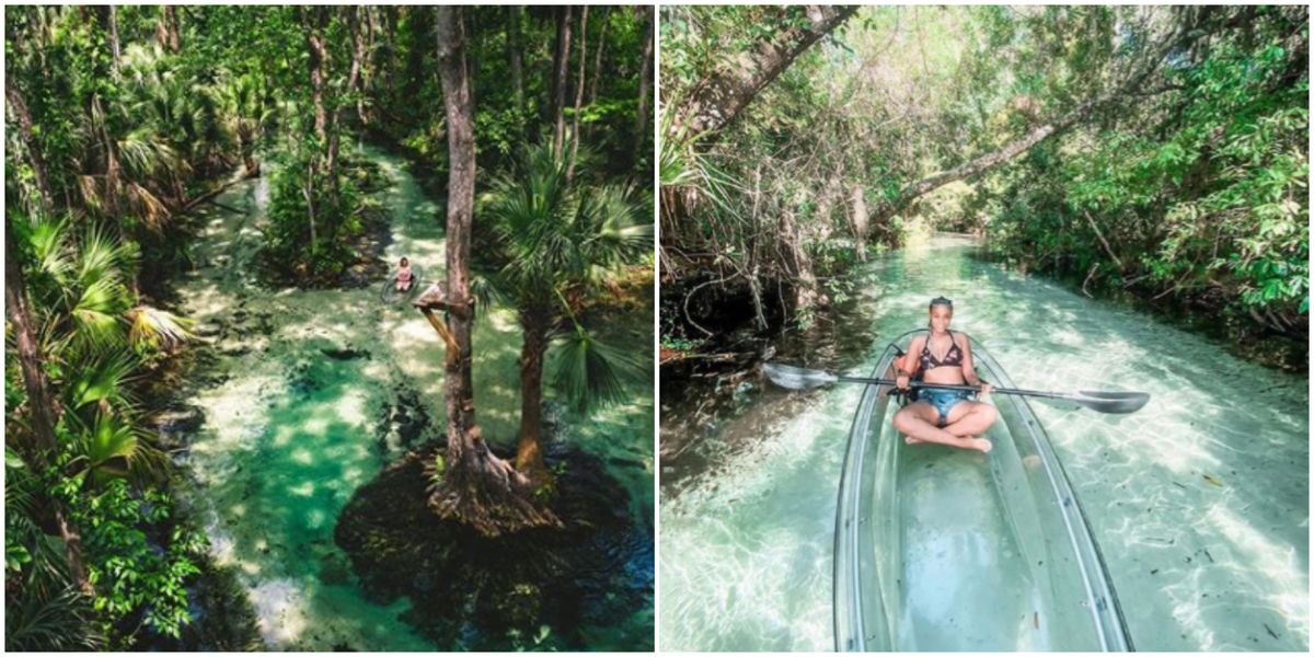 Florida Clear Kayak Tour Near Orlando Takes You Through An Amazon Oasis