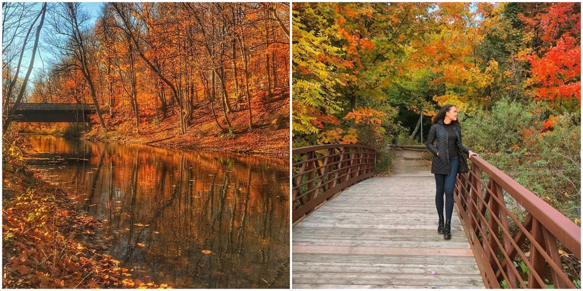 Mill Pond Near Toronto Has The Most Fall Trails Narcity