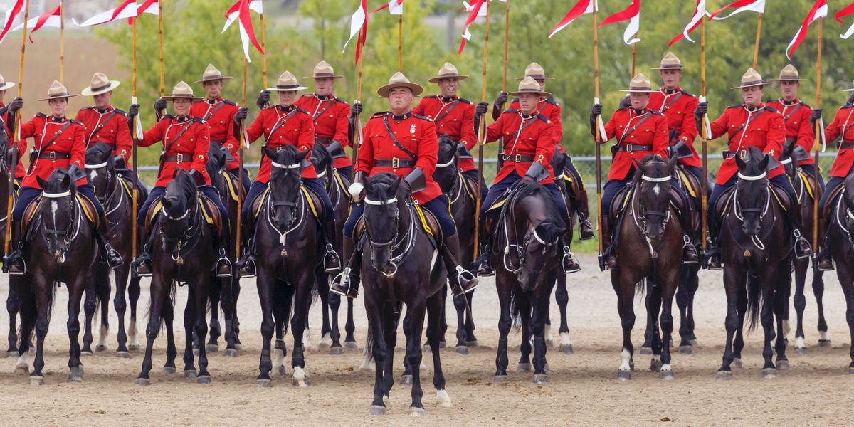 RCMP Horse Auction Gives you The Chance To Buy One Of Your Own Narcity