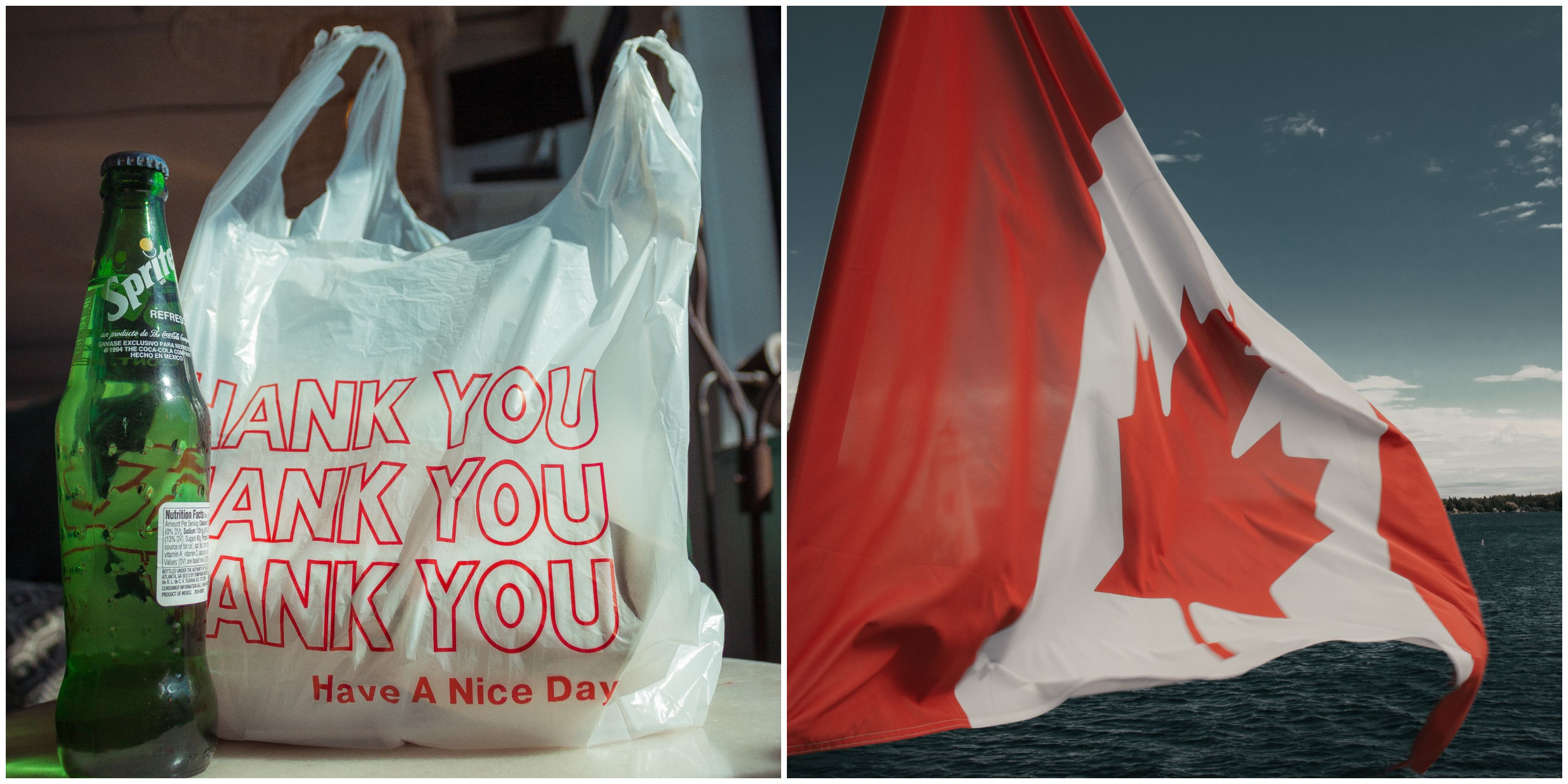 Canada's SingleUse Plastic Ban Includes Six Widely Used Items Narcity