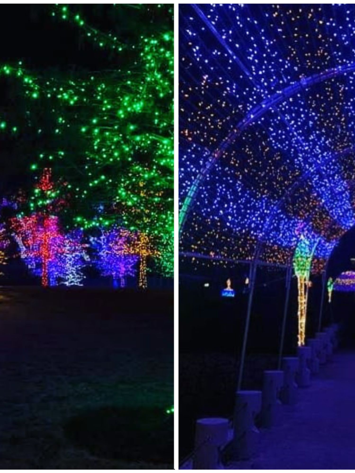 You Can Explore Over 1 Million Lights At Toronto’s Magical Christmas