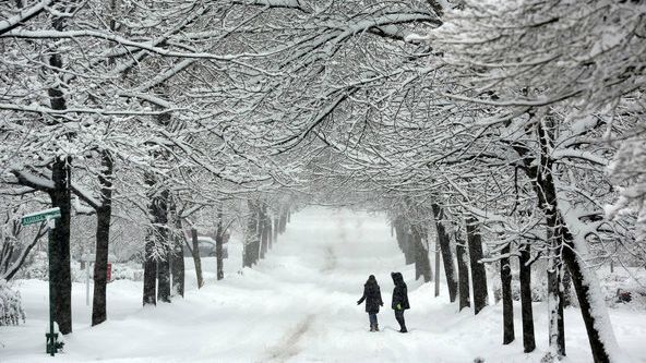 Ontario's First Snowfall Of The Year Is Here, But It Won't Hit Toronto