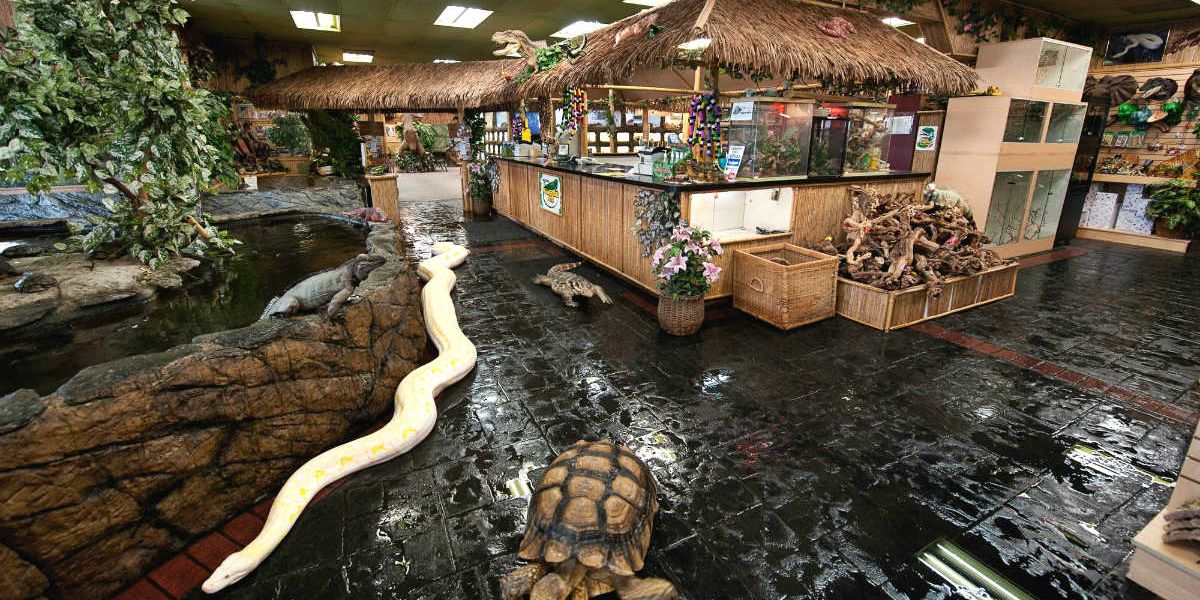This Unique Zoo In Ontario Is Dedicated To All Things Reptile And