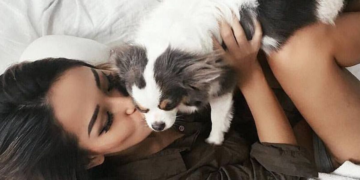 7 conversations qu'on a tous déjà eu avec notre animal de