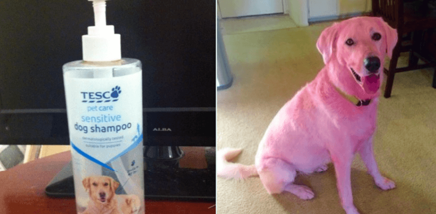 12 The Ultimate Lush Fail Narcity