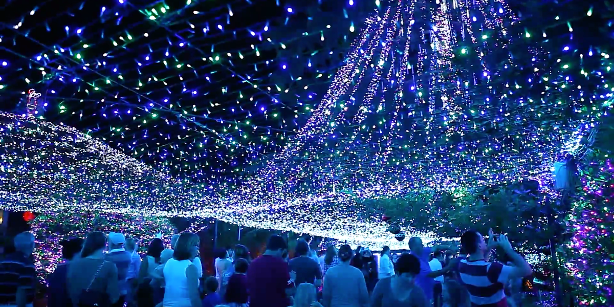 The World's Largest Christmas Lights Display Is Coming To Vancouver