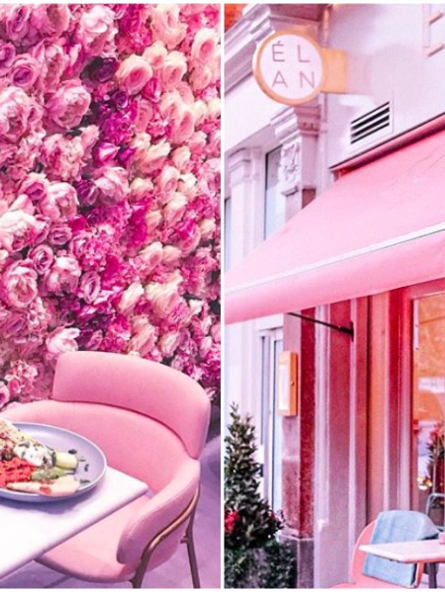 This Rose Cafe Will 100 Make You Book A Plane Ticket To London ASAP
